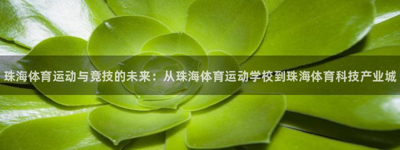 米兰体育官方正版app神州：珠海体育运动与竞技的未来