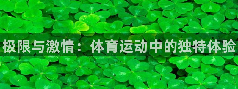 米兰体育官方正版app开户：极限与激情：体育运动中的独特体验