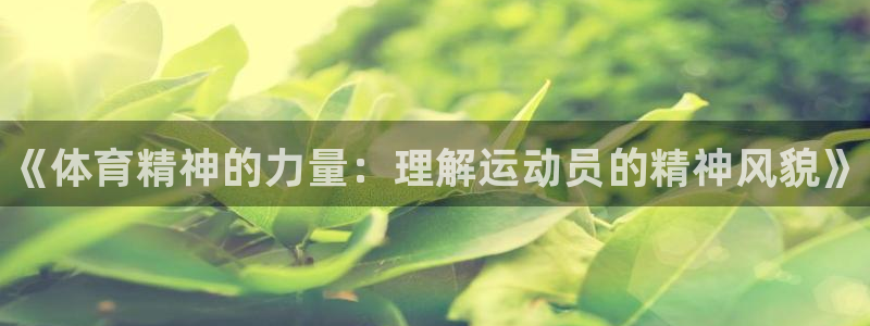 米兰体育官网下载平台注册要钱吗安全吗：《体育精神的力量：理解