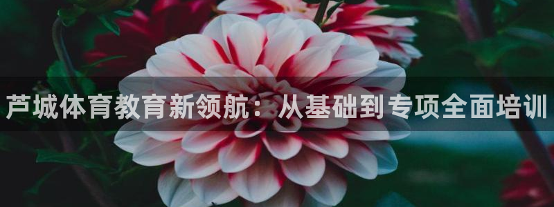 米兰体育官方正版app娱乐平台：芦城体育教育新领航：从基础到