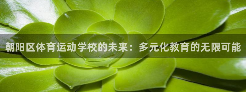 米兰体育官方正版app集团官网首页
