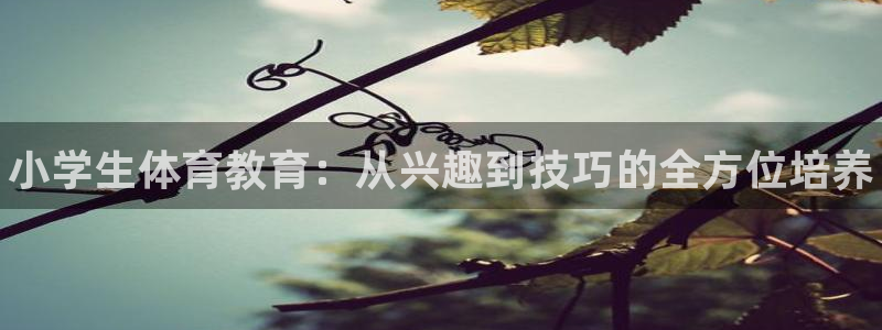 米兰体育官网下载招商电话：小学生体育教育：从兴趣到技