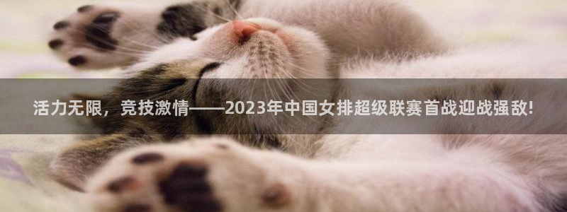 米兰体育官方正版app娱乐代理怎么样