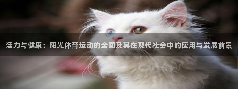 米兰体育官网下载开户：活力与健康：阳光体育运动的全面及其在现