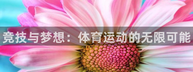 米兰体育官方正版app代理：竞技与梦想：体育运动的无限可能