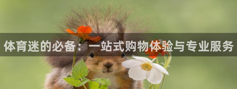 米兰体育官方正版app开户：体育迷的必备：一站式购物