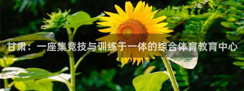 米兰体育官网下载招商电话号码是多少号：甘肃：一座集竞