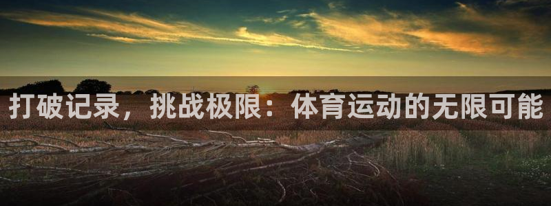 米兰体育官网下载平台APP：打破记录，挑战极限：体育运动的无