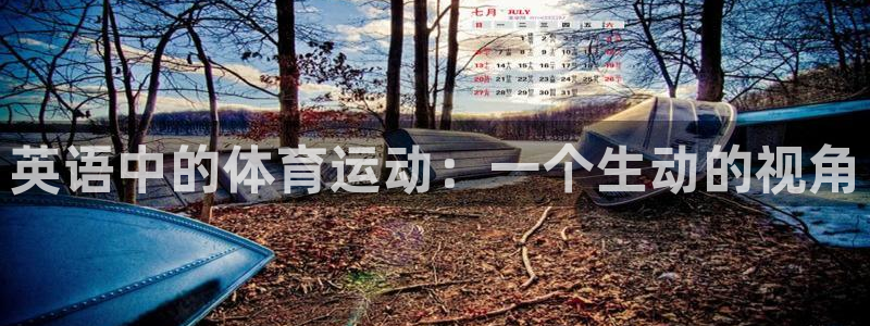 海南米兰体育官网下载发展怎么样：英语中的体育运动：一个生动的