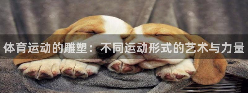 米兰体育官网下载软件：体育运动的雕塑：不同运动形式的艺术与力