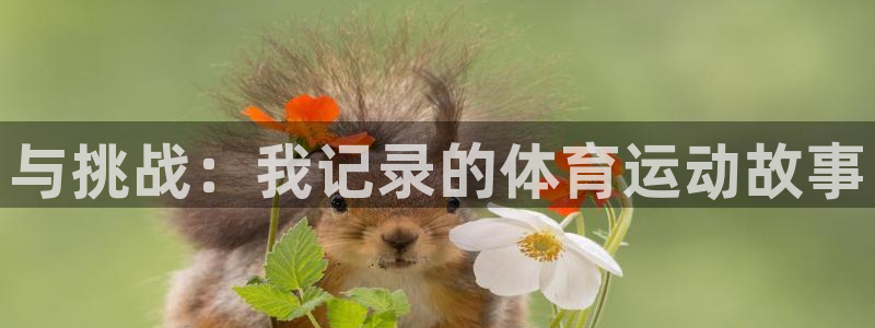 米兰体育官方集团官网：与挑战：我记录的体育运动故事